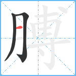 膊笔顺分解图片3