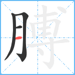 膊笔顺分解图片4