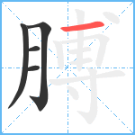 膊笔顺分解图片5