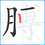 膊笔顺分解图片6