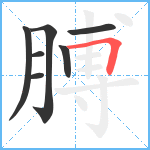 膊笔顺分解图片7