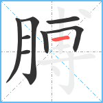 膊笔顺分解图片8