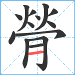 膋笔顺分解图片14