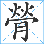 膋笔顺分解图片15