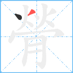 膋笔顺分解图片2