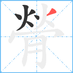 膋笔顺分解图片6