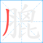 膍笔顺分解图片1