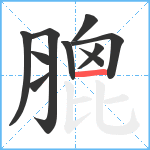 膍笔顺分解图片10