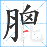 膍笔顺分解图片11