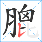 膍笔顺分解图片12