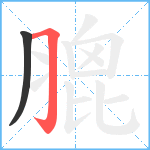 膍笔顺分解图片2