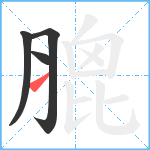 膍笔顺分解图片4