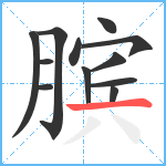 膑笔顺分解图片12