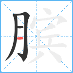 膑笔顺分解图片4