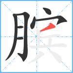 膑笔顺分解图片8