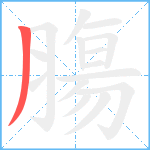 膓笔顺分解图片1