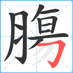 膓笔顺分解图片13