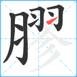 膠笔顺分解图片10