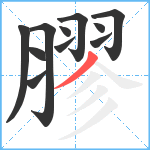 膠笔顺分解图片11