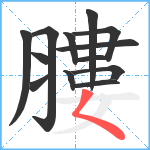 膢笔顺分解图片13