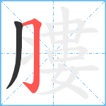 膢笔顺分解图片2