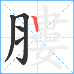 膢笔顺分解图片5