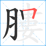 膢笔顺分解图片6