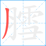 膤笔顺分解图片1