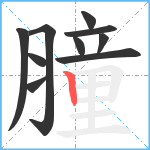 膧笔顺分解图片10