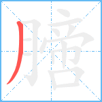 膪笔顺分解图片1