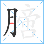 膪笔顺分解图片4