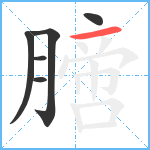 膪笔顺分解图片6