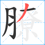 膫笔顺分解图片6