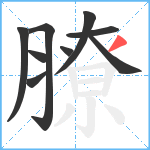 膫笔顺分解图片9