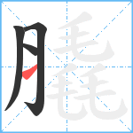 膬笔顺分解图片4