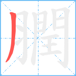 膶笔顺分解图片1