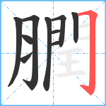 膶笔顺分解图片10