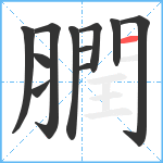 膶笔顺分解图片11