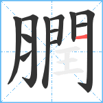 膶笔顺分解图片12