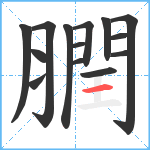 膶笔顺分解图片14