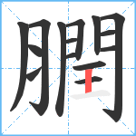 膶笔顺分解图片15