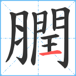 膶笔顺分解图片16