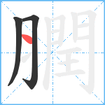 膶笔顺分解图片3