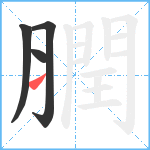 膶笔顺分解图片4