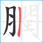 膶笔顺分解图片5