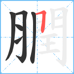 膶笔顺分解图片6