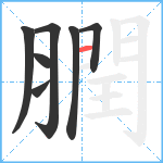 膶笔顺分解图片7