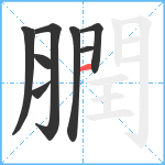 膶笔顺分解图片8