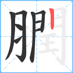 膶笔顺分解图片9