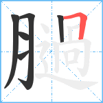 膼笔顺分解图片6